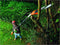 BLACK+DECKER PS7525-QS Takkenzaag - 800W - 25cm - gesnoerd