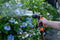 BLACK+DECKER Sproeikop - 6 Standen - Universeel - Zwart/ Oranje