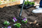 BLACK+DECKER Tuinhark 4-Tands - 148 x 12 x 10 CM - Koolstofstaal, Glasvezel en PVC - Oranje/Zwart