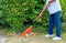 BLACK+DECKER Tuinhark BXGTTO7003 - 178 x 60 x 3 CM - Bladhark met Comfortabele Handgreep - Terugverende Hark - Oranje/Zwart
