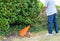 BLACK+DECKER Tuinhark BXGTTO7003 - 178 x 60 x 3 CM - Bladhark met Comfortabele Handgreep - Terugverende Hark - Oranje/Zwart