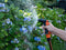 BLACK+DECKER Verstelbaar Spuitpistool - Sproeikop voor Tuinslang - Aanpasbare Waterstroom - Ergonomisch Handvat - Kunststof - Zwart/Oranje