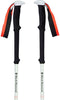 Black Diamond Expedition 2 Stokken Zwart 105-155 cm