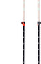 Black Diamond Expedition 2 Stokken Zwart 105-155 cm