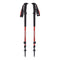 Black Diamond Trail Granite Trekking Poles