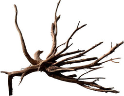 Black spiderwood medium