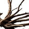 Black spiderwood medium