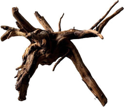 Black spiderwood small
