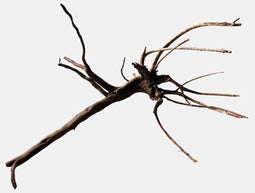 Black spiderwood x-large