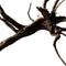 Black spiderwood x-large