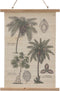 Blad 50 x 2 x 70 cm Palmboom