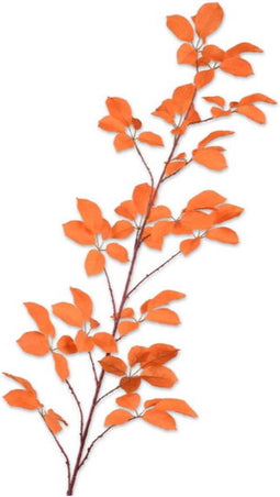 Bladtak l164 cm oranje