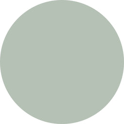Blanco muurcirkel mint 2 stuks 15 cm / Forex