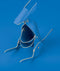 Blauw Amigos Organiser Kangoe