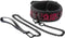 Blaze Deluxe Collar & Leash