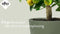 Elho Greenville Rond 55 - Grote Bloempot Buiten - Waterreservoir - 100% Gerecycled Plastic - Ø 55 x H 50 cm - Living black