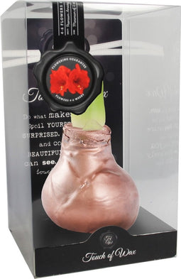 Bloembol Rode Amaryllis Wax kaarsvet Gloss Koper cadeauverpakking '...