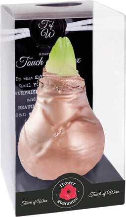 Bloembol Rode Amaryllis Wax kaarsvet Gloss Koper Maat S Kebol