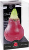Bloembol Rode Amaryllis Wax kaarsvet Gloss Rood Maat S Kebol
