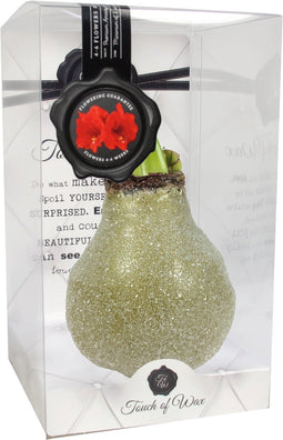 Bloembol Rode Amaryllis Wax kaarsvet Kristal Goud cadeauverpakking...