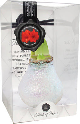 Bloembol Rode Amaryllis Wax kaarsvet Kristal Wit cadeauverpakking '...