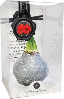 Bloembol Rode Amaryllis Wax kaarsvet Kristal Zilver cadeauverpakkin...