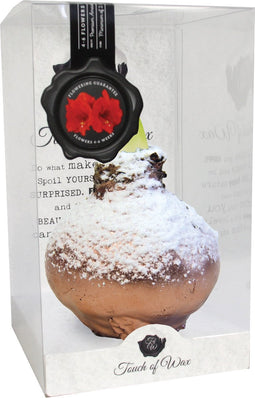 Bloembol Rode Amaryllis Wax kaarsvet Snow Koper cadeauverpakking 'P...