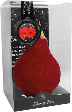 Bloembol Rode Amaryllis Wax kaarsvet Velvet/Fluweel Rood cadeauverp...