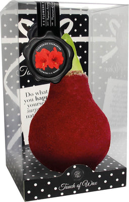 Bloembol Rode Amaryllis Wax kaarsvet Velvet/Fluweel Rood cadeauverp...