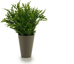 Bloempot 8430852553010 Groen Plastic 13 x 25 x 13 cm