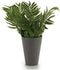 Bloempot 8430852553010 Groen Plastic 13 x 25 x 13 cm