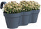 Bloempot Artevasi - 54 x 30,5 x 28 cm - Blauw