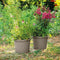 Bloempot Deroma 60 cm Taupe Geïnjecteerde Rond Ø 60 cm