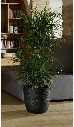 Bloempot EDA Opal Chape Zwart Ø 29,5 cm