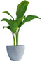 Bloempot - GARDEN ID - Green Care Impact Blauw-Grijs - 50 x 41 cm - 10 jaar garantie - 100% gerecycled - UV-/vorstbestendig