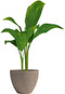 Bloempot - GARDEN ID - Green Care Impact Taupe - 30 x 26 cm - 10 jaar garantie - 100% gerecycled - UV-/gelbestendig