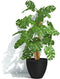 Bloempot - GARDEN ID - Green Care Impact Zwart-Anth - 30 x 26 cm - 10 jaar garantie - 100% gerecycled - UV-/gelbestendig