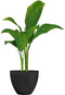 Bloempot - GARDEN ID - Green Care Impact Zwart-Anth - 30 x 26 cm - 10 jaar garantie - 100% gerecycled - UV-/gelbestendig
