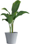 Bloempot - GARDEN ID - Green Care Sense Blauwe steen - 30 x 27 cm - 10 jaar garantie - 100% gerecycled - UV- en vorstbestendig
