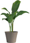 Bloempot - GARDEN ID - Green Care Sense Taupe - 30 x 27 cm - 10 jaar garantie - 100% gerecycled - UV- en vorstbestendig