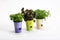 Bloempot met irrigatiefunctie Rosmarin D11cm H14.2cm geel/groen