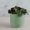 Bloempot Nola groen M