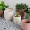 Bloempot Nola terra S