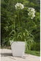 Bloempot Riss RIV3580794040026