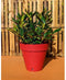 Bloempot Riss RIV3580795940561 25 L Ø 40 cm