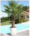Bloempot Riss RIV3580796331061 Ø 35 cm