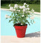 Bloempot Riviera 414056 Ø 39,2 x 35,8 cm Rood