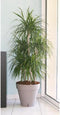 Bloempot Riviera Bruin Taupe Polypropyleen Plastic Cirkelvormig Klot