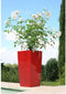 Bloempot Riviera Nuance Rood 38 x 38 x 69 cm 67 L Vierkant