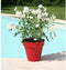 Bloempot Riviera Rood Intense Rond Ø 49 x 45 cm